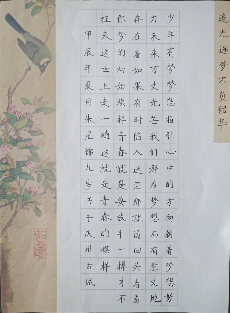 图为来自甘肃的朱星儒创作的书法作品《追光逐梦 不负韶华》。 .jpg