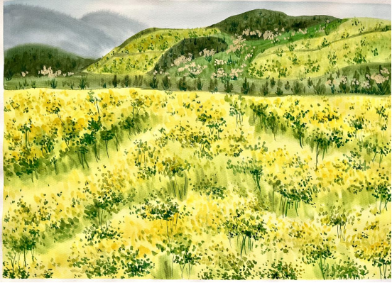 图为来自甘肃的邱艳芳创作的绘画作品《油菜花开铺大地》。.png
