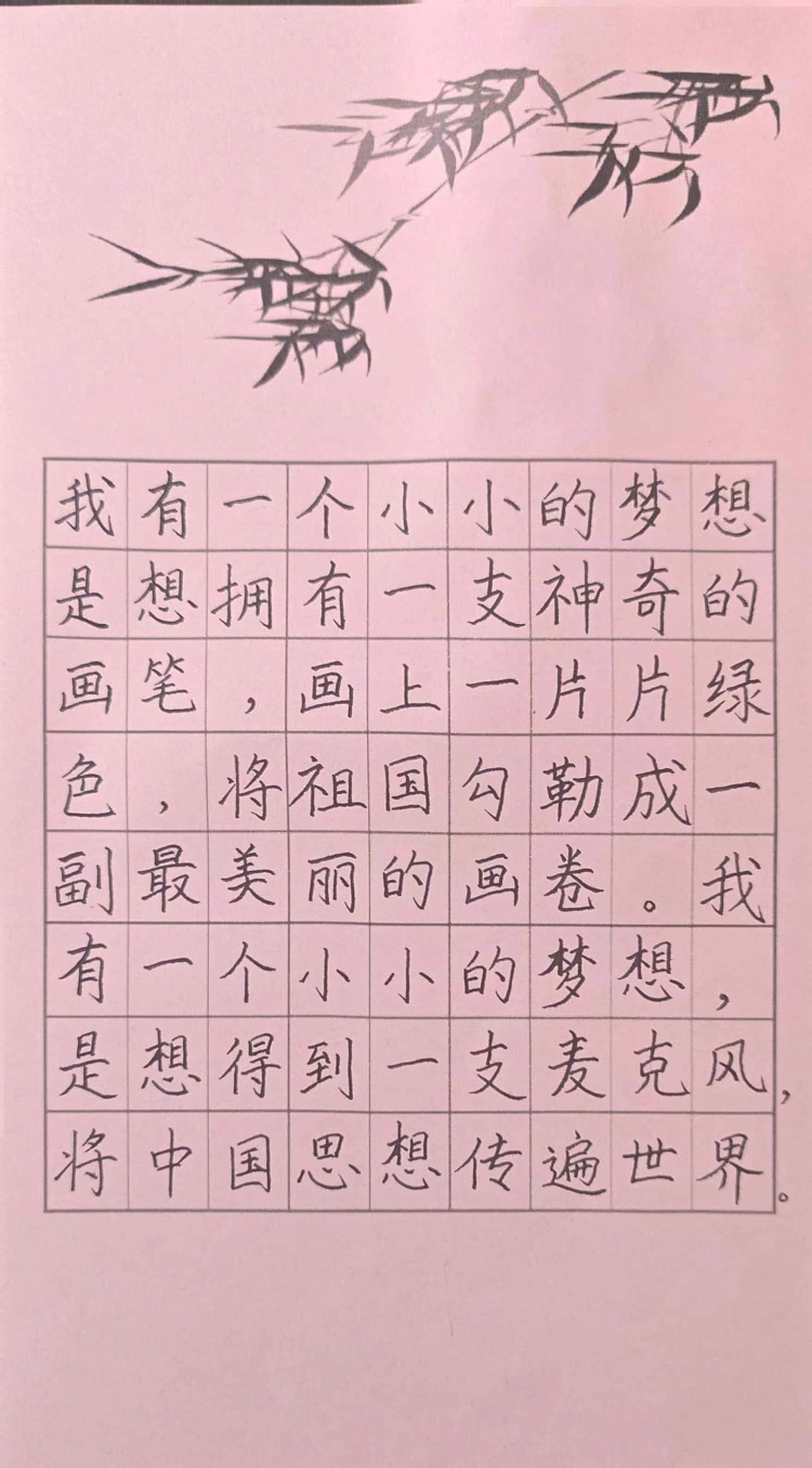 图为来自甘肃的姚蕊蕊创作的书法作品《小小梦想》。.jpg