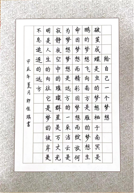 图为来自河北的郎佳琪创作的书法作品《给自己一个梦想》。.png