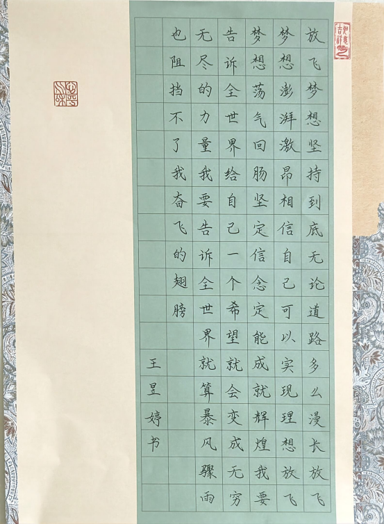 图为来自甘肃的王昱婷创作的书法作品《为理想而奋斗》。.png