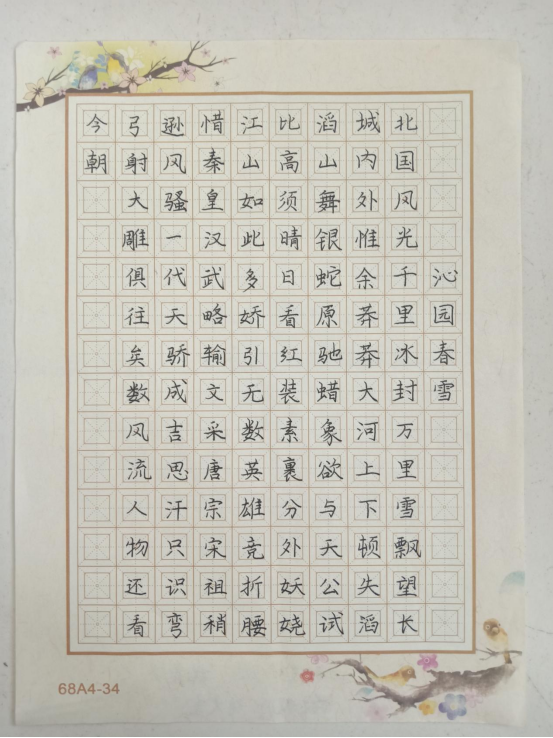 图为来自甘肃的窦雪莹创作的书法作品《沁园春·雪》。.png